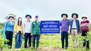 Quảng Trị thúc đẩy đổi mới sáng tạo tăng tốc chuyển đổi số缩略图