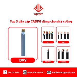 Top 5 dây cáp CADIVI dùng cho nhà xưởng được lựa chọn nhiều nhất缩略图
