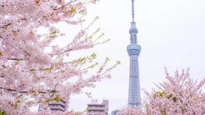 Chứng khoán châu Á tăng điểm dịp Lễ Phục Sinh thị trường kỳ vọng eo biển Hormuz được mở lại缩略图